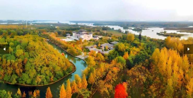 熙湖澜悦新房周边配套-学区AG真人旗舰厅庐阳区弘泰(图5)